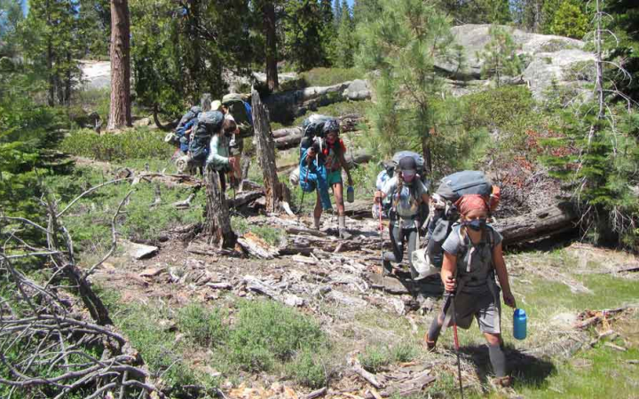a group of students wearing backpacks make their way through a grassy and wooded area